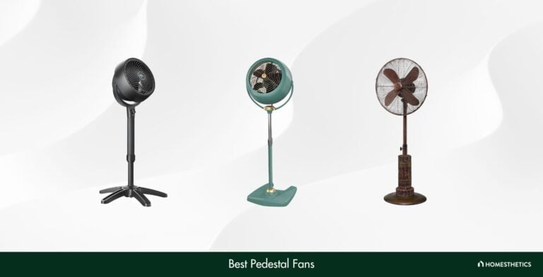 Best Pedestal Fans