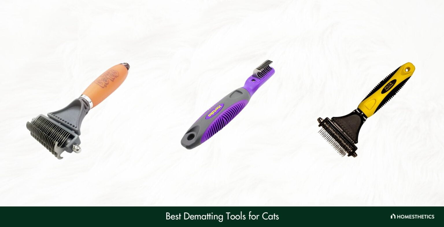 5 Best Dematting Tools For Cats