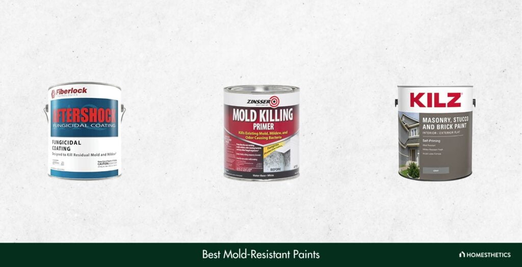 5 Best Mold Resistant Paint Reviews + Guide