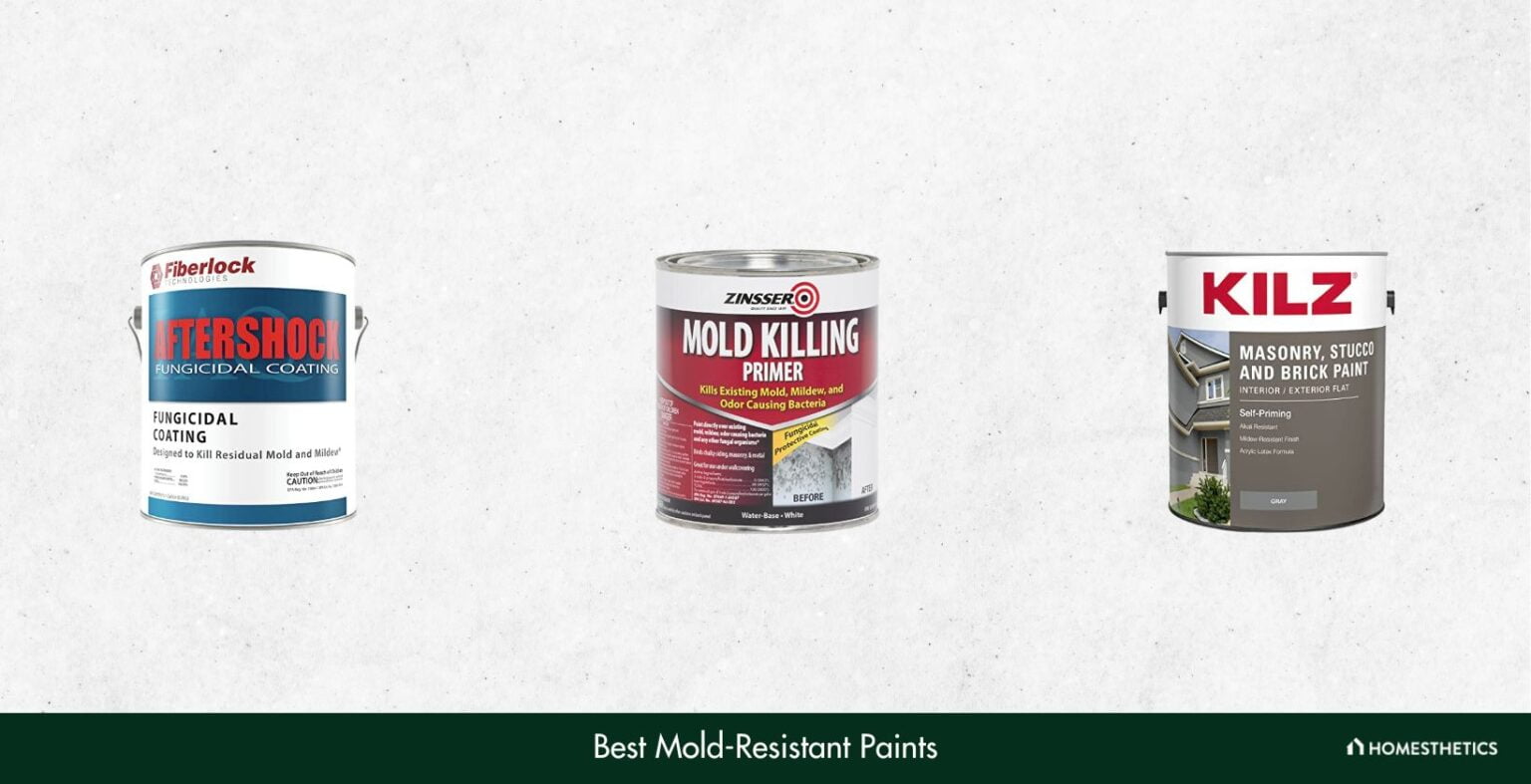 5 Best Mold Resistant Paint Reviews + Guide